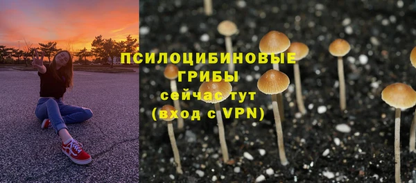 прущий лед Сафоново