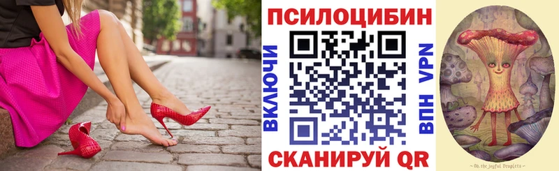 купить наркотики цена  Среднеколымск  Псилоцибиновые грибы мухоморы 